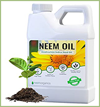 Neem Oil Insecticide & Fungicide